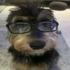 b_cao23