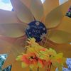 hubedecor