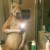 kevinjmnxtlvdmn