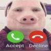 appleuser8282927