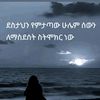 seidmehammed29