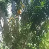 user6160610798831