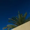 y_9lv