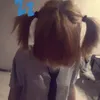 ksechabro