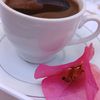 raed.alal
