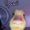 user5969961119986