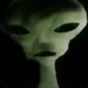 olekkvfiebi