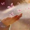 user1953176824995