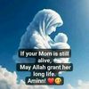 maryam937.com