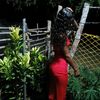 maryluz.nisperuza
