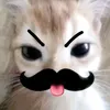 sh4nt4lo