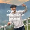 selviipermatasari6