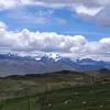 laniegardner152