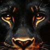 user19551621059023