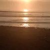 elsahs4
