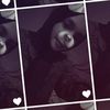 _xqytrop