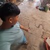 aldamir.chino