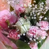 fragrance4757