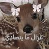 najla.emad4