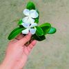 user8112903431778