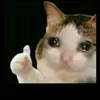 thichchsrc