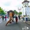 kalu.kalu509