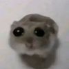 rattisome1