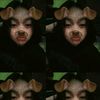 korizen_keyy243
