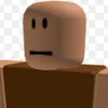 robloxcarlhelper
