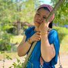 butterfly_20248