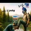 zainpanwarbran