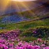 thae.su.moe75
