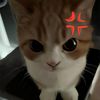 luxurclown12