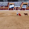 ubrique27