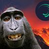 monkeybanana4k