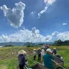 duyhoang_206