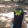 winwinsann11
