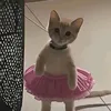 lareen.m.k