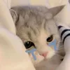 maiiimai2