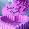 biddut.kumar75