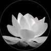 thu.hoa.nong