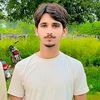 aligujjar13351
