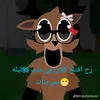 logy.amr09