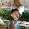 faizwanto5