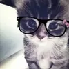 qwilty6