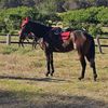 kara.eq13