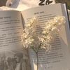book_took69