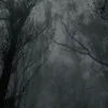 irt_03