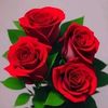 user1888728776778
