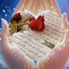 user5986008547053